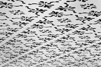 Snowflake Ceilings Image 7