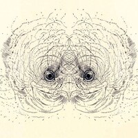 Rorschach Test Skulls Image 6