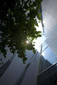 Tree-Based Buildings Image 5