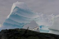 Stunning Nature Photo Sites Image 2
