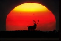 Stunning Nature Photo Sites Image 4