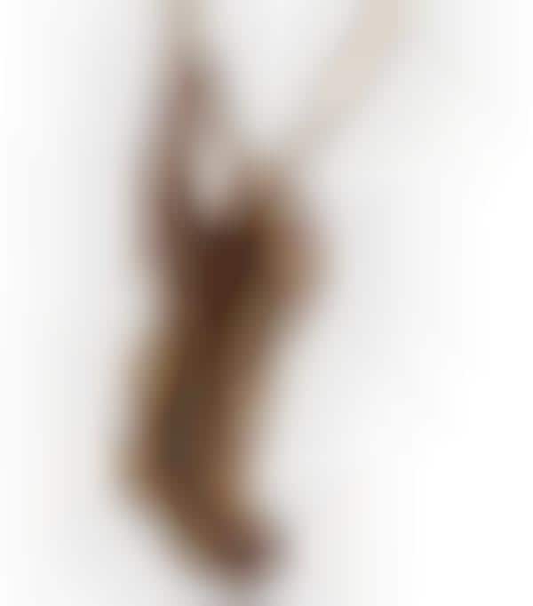 Endangered Animal Portraits