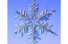 11 Sharp Snowflake Creations