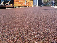 Absorbent Pavement Image 8