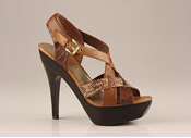 Personal Shoe Shoppers Image 4