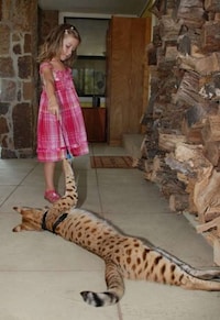 Supersized House Pets Image 7