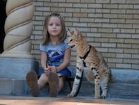 Supersized House Pets Image 8