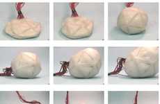 23 Shape-Shifting Phenomenons 