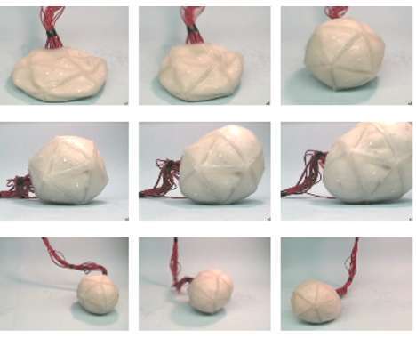23 Shape-Shifting Phenomenons 