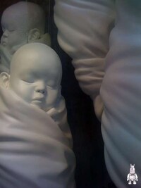 Cocooned Baby Webs