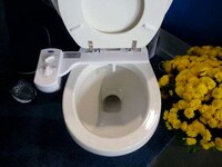 DIY Eco Bathroom Upgrades
