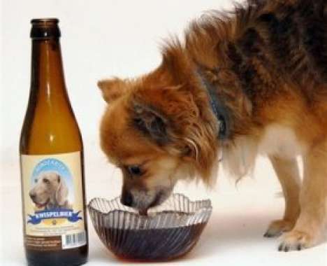12 Bizarre Animal Vices