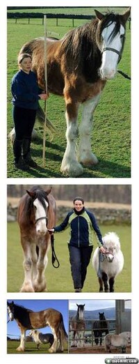 XXL Critters Image 2