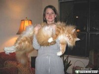 XXL Critters Image 3