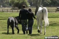 XXL Critters Image 5
