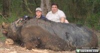 XXL Critters Image 7