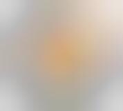 Online Human Translators