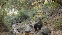 Automatic Setup Camping Chairs Image 3