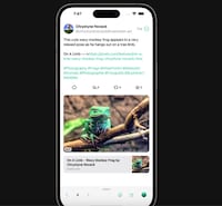 Distraction-Free Scrolling Tools