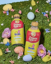 Marshmallow-Flavored Milks Image 1
