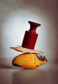 Extra-Concentrated Fragrances Image 3
