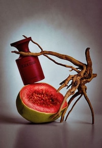 Extra-Concentrated Fragrances Image 4