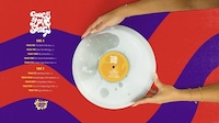 Fondant-Filled Vinyls Image 2