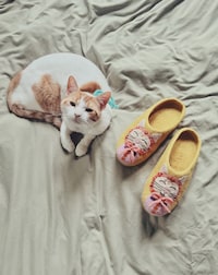 Adorably Decorated Slippers Image 2