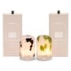 Ultra-Stylish Scent Diffusers Image 1