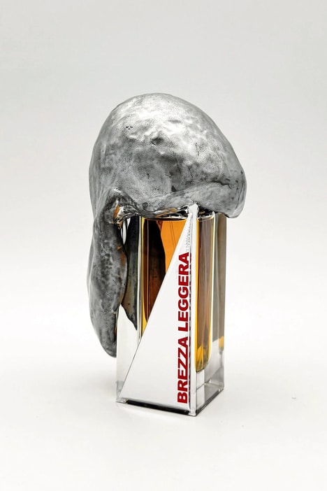 Wind-Inspired Fragrances
