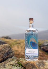 Exploratory Small-Batch Gins