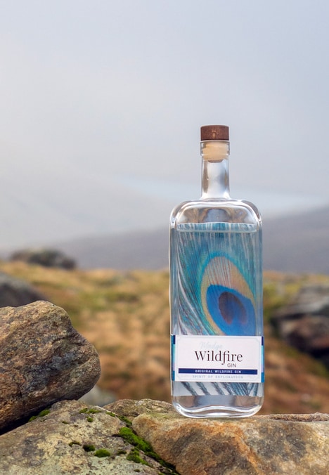 Exploratory Small-Batch Gins