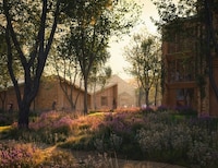 Village-Like Tranquil Hospice Designs Image 4