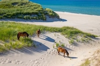 Virtual National Park Experiences Image 1