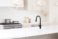 Design-Forward Kitchen Faucet Collections Image 1