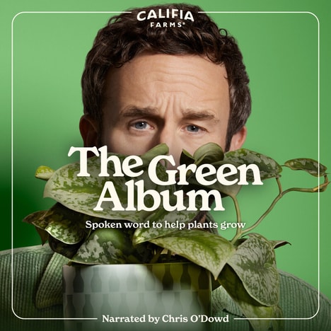 Flora-Friendly Meditation Albums