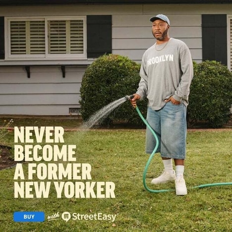 New Yorker-Approved Campaigns