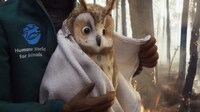 Charity Organization Rebrands