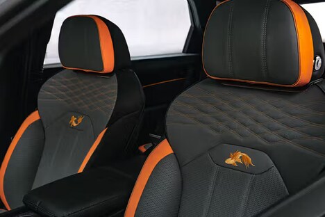 Chinese Culture Car Interiors
