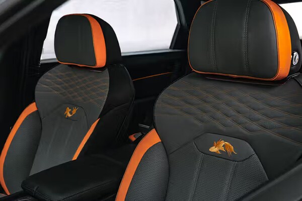 Chinese Culture Car Interiors