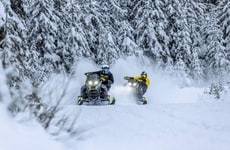 Performance-Driven Snowmobile Lineups