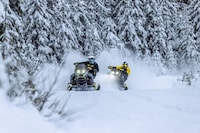 Performance-Driven Snowmobile Lineups Image 1