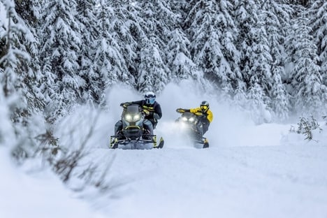 Performance-Driven Snowmobile Lineups