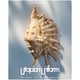 Progressive Protein-Material Fashion Image 3