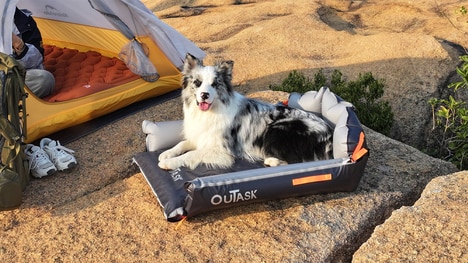 All-Terrain Inflatable Dog Beds