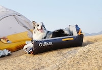All-Terrain Inflatable Dog Beds Image 2