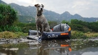 All-Terrain Inflatable Dog Beds Image 4