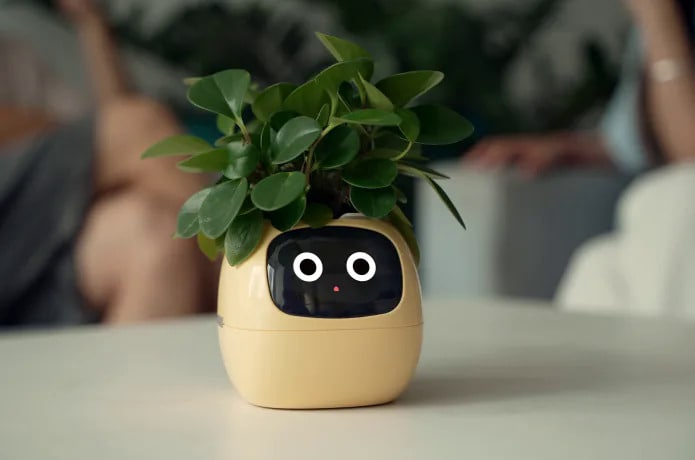 Smart Expressive Flowerpots Article Thubnail