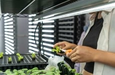 Advanced Indoor Farming Solutions