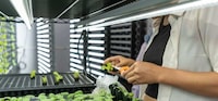 Advanced Indoor Farming Solutions Image 1